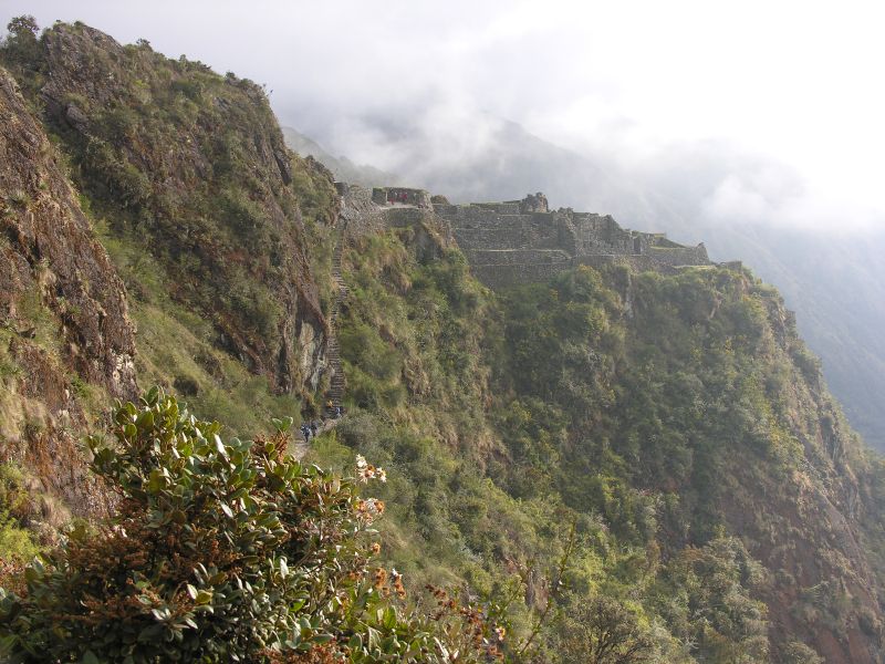 Description of the image