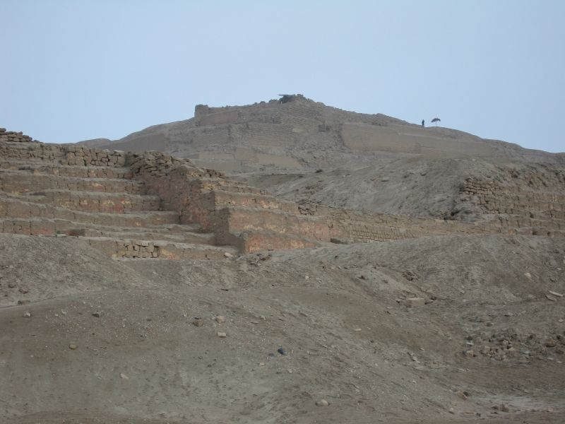 Description of the image