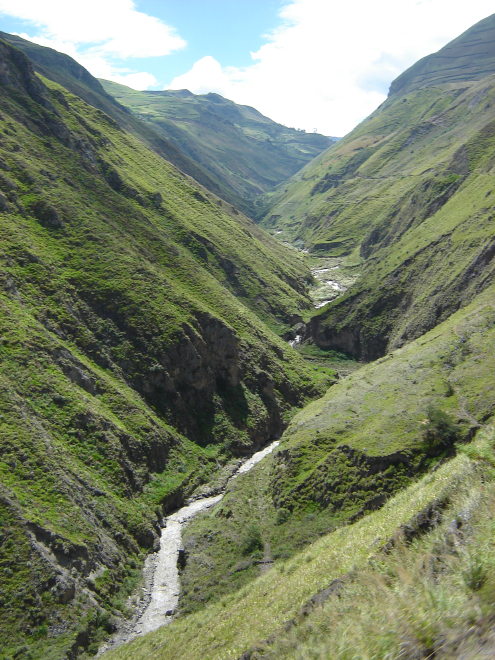 Description of the image