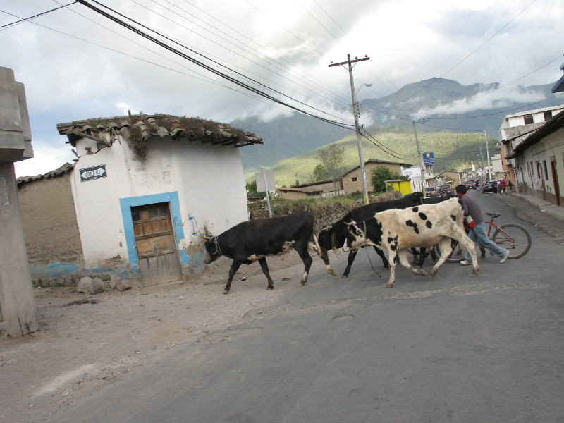 Description of the image