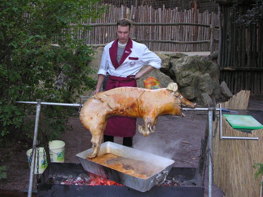 Description of the image