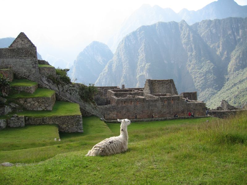Description of the image