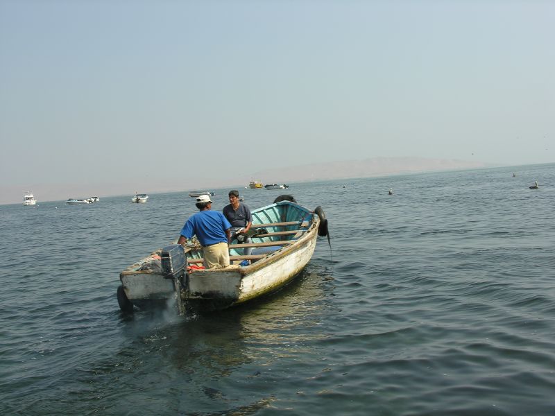 Description of the image