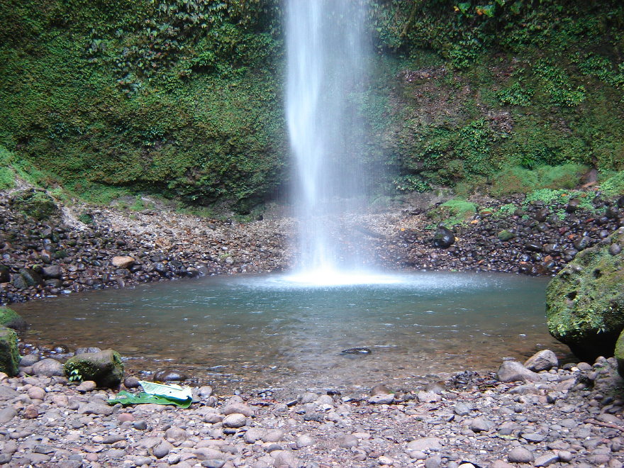Description of the image