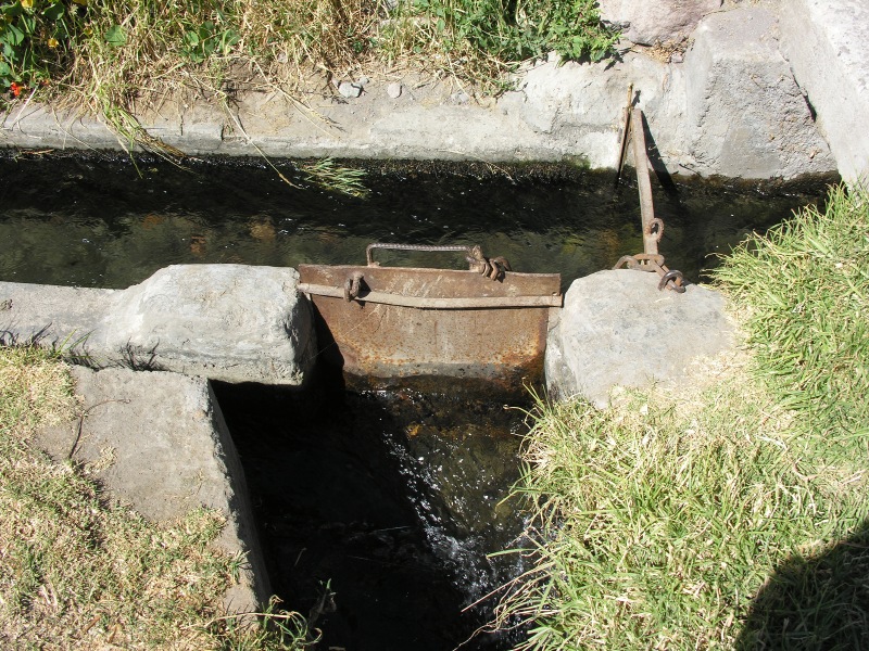 Description of the image