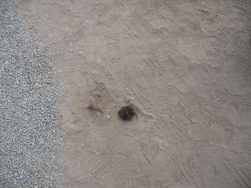 Description of the image
