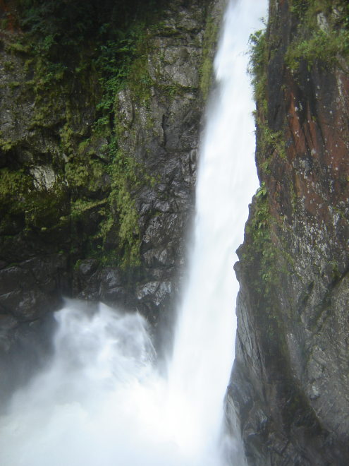 Description of the image