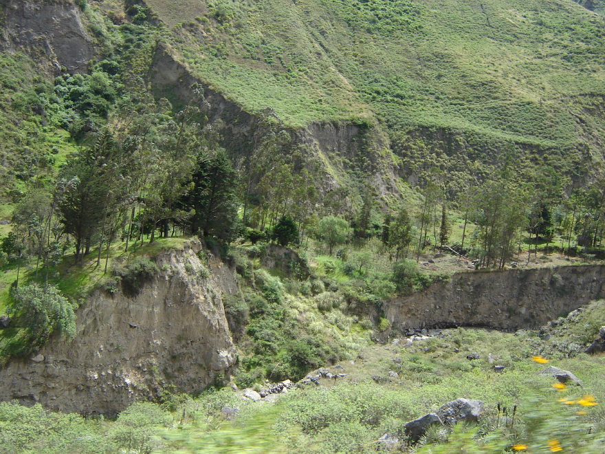 Description of the image