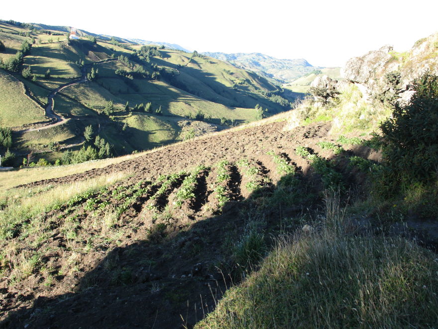Description of the image