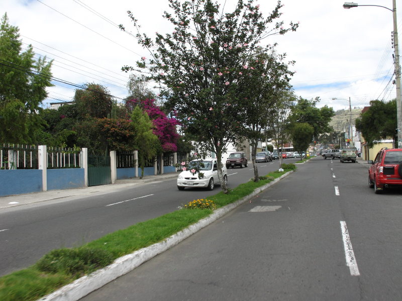 Description of the image