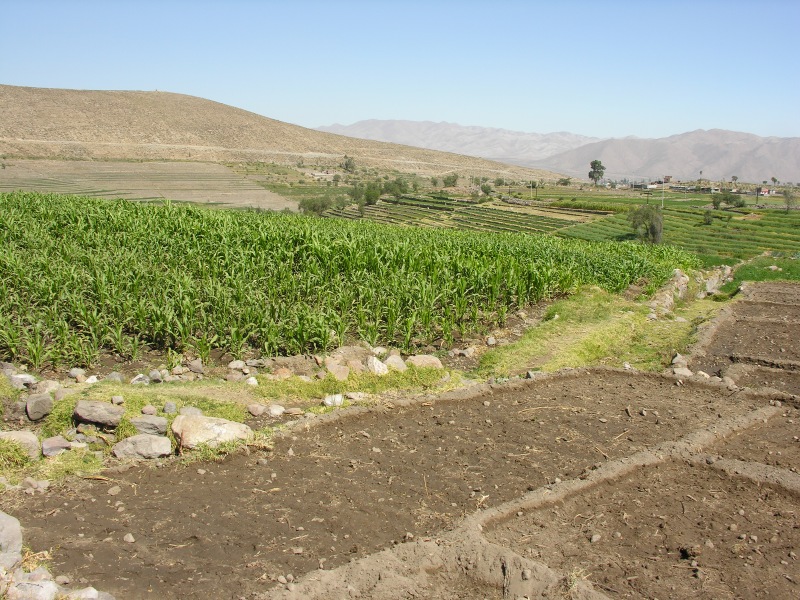 Description of the image
