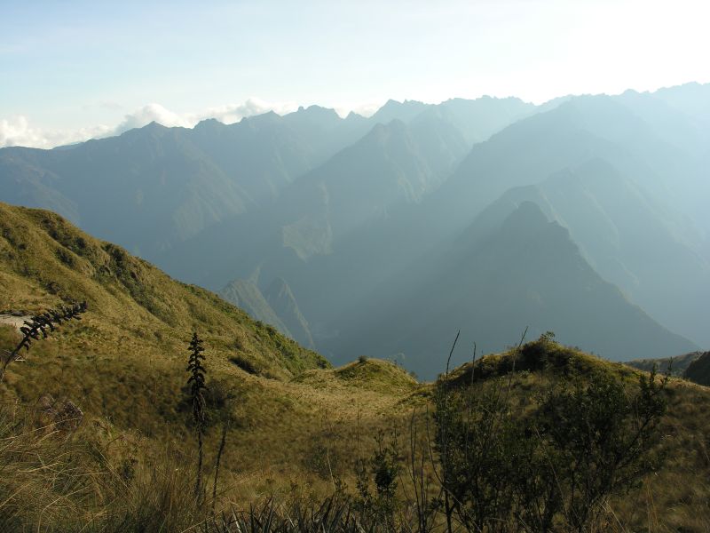 Description of the image