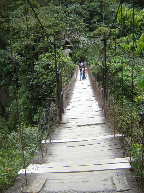 Description of the image