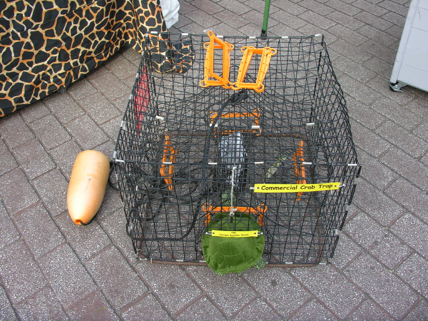 Description of the image