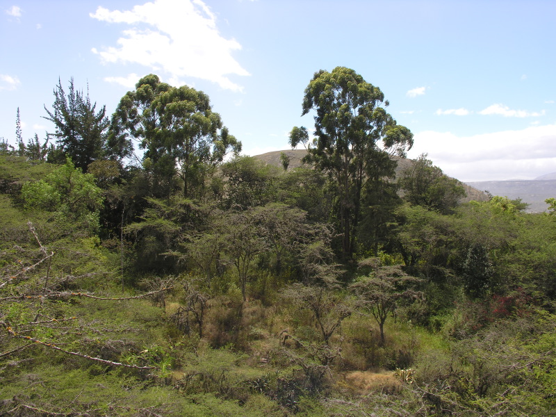 Description of the image