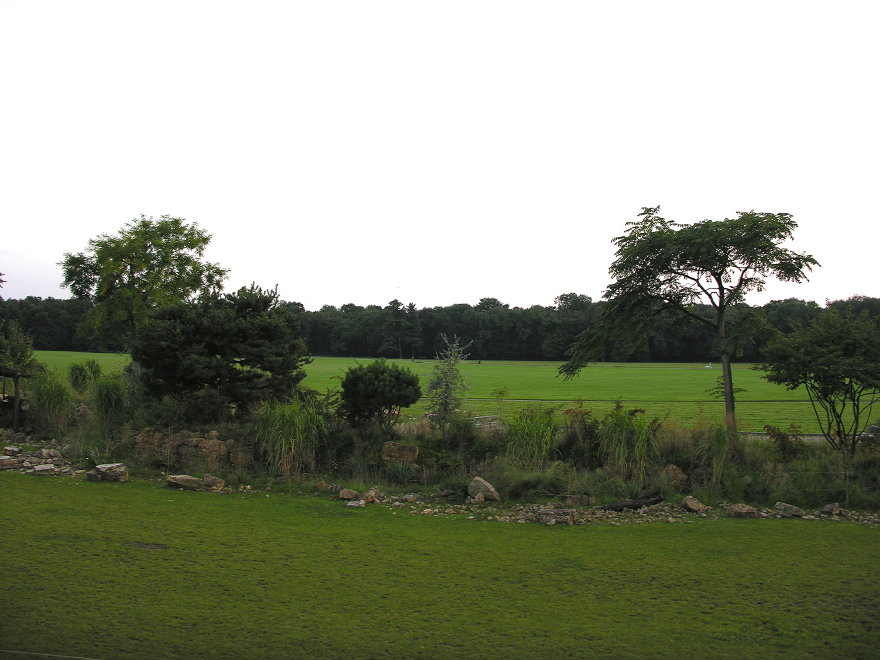Description of the image