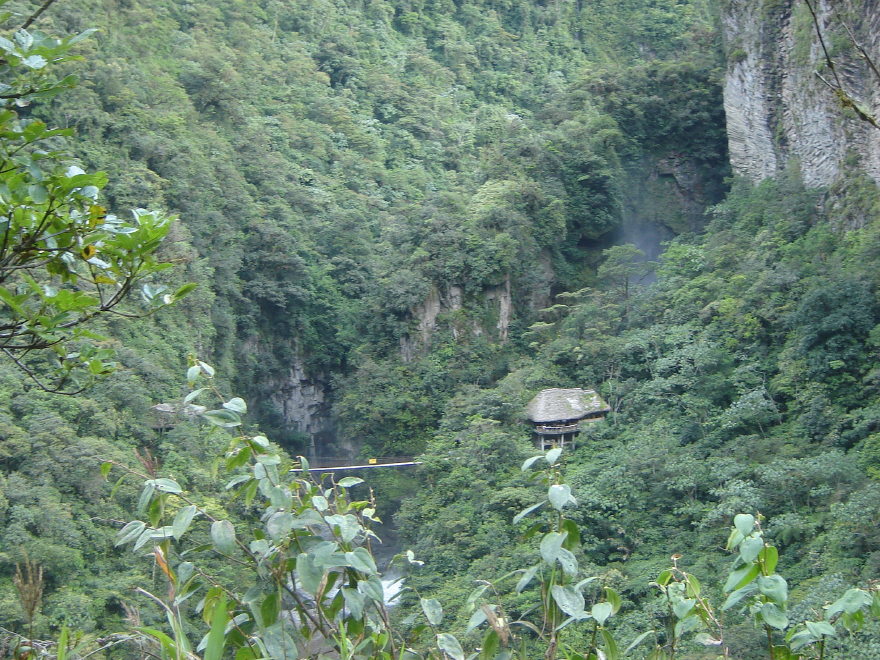 Description of the image