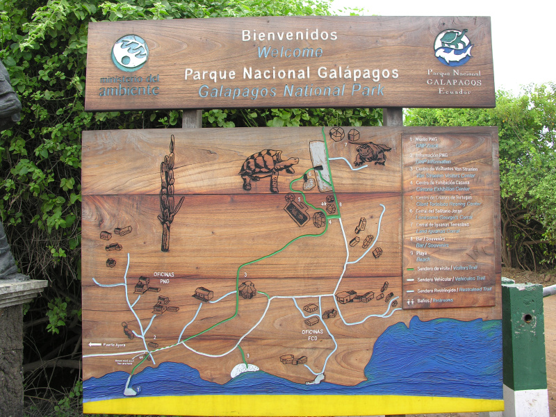 Description of the image