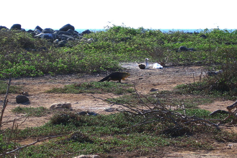Description of the image