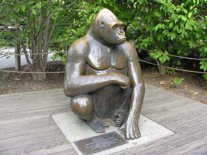 Description of the image
