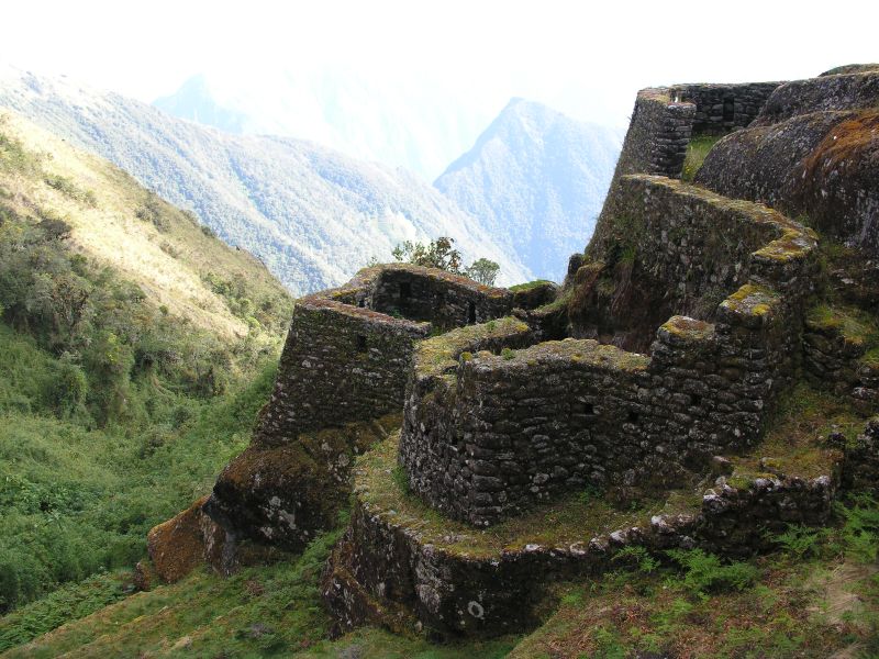 Description of the image