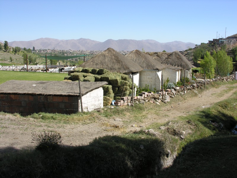 Description of the image