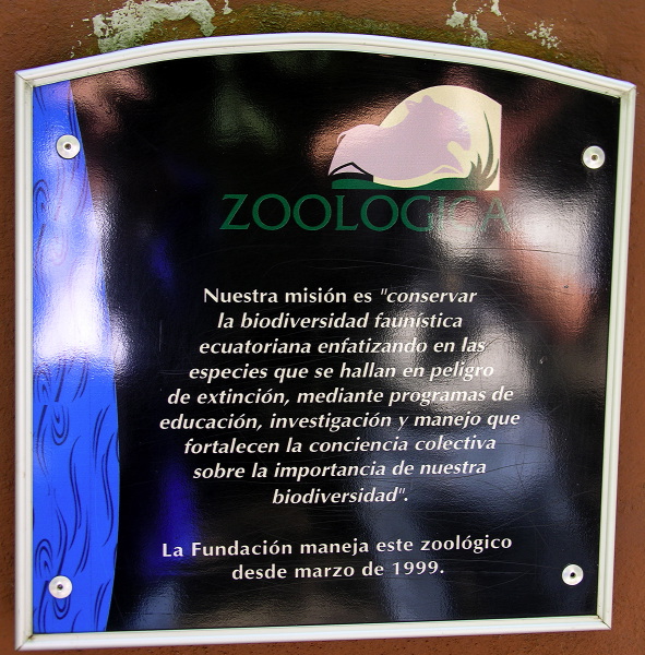 Description of the image