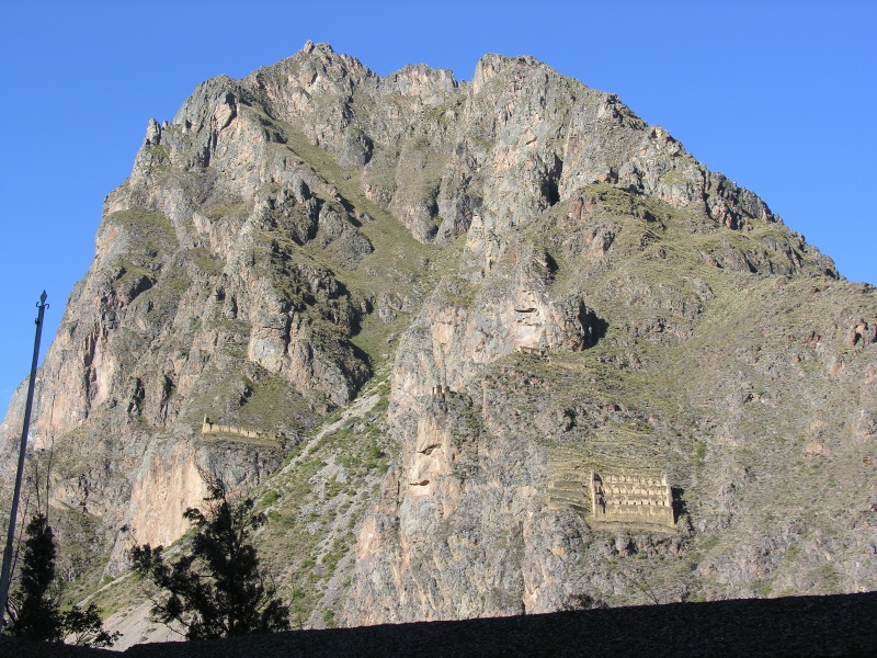 Description of the image