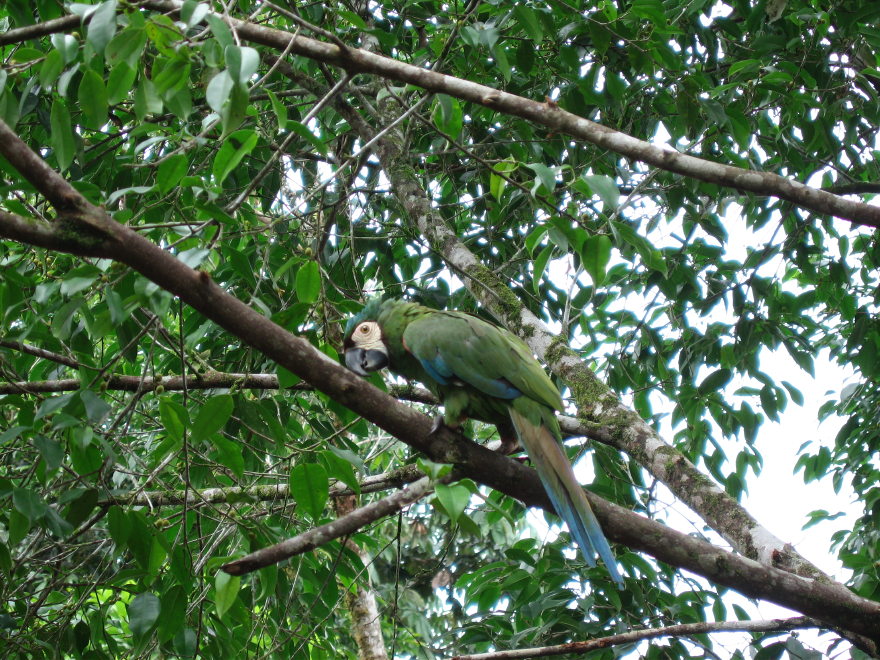Description of the image