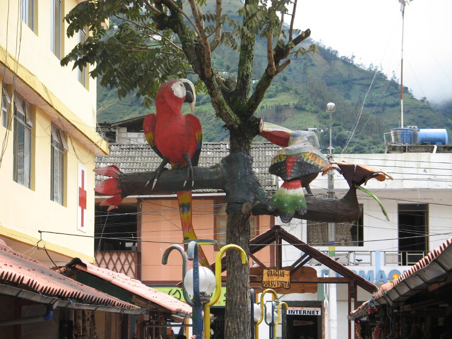 Description of the image