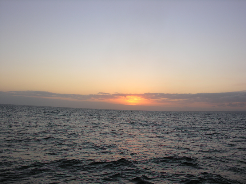 Description of the image