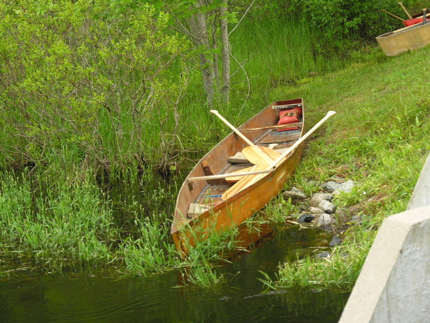 Description of the image