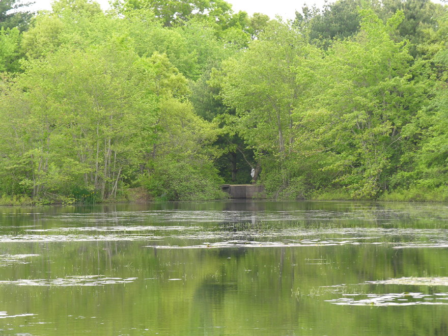 Description of the image