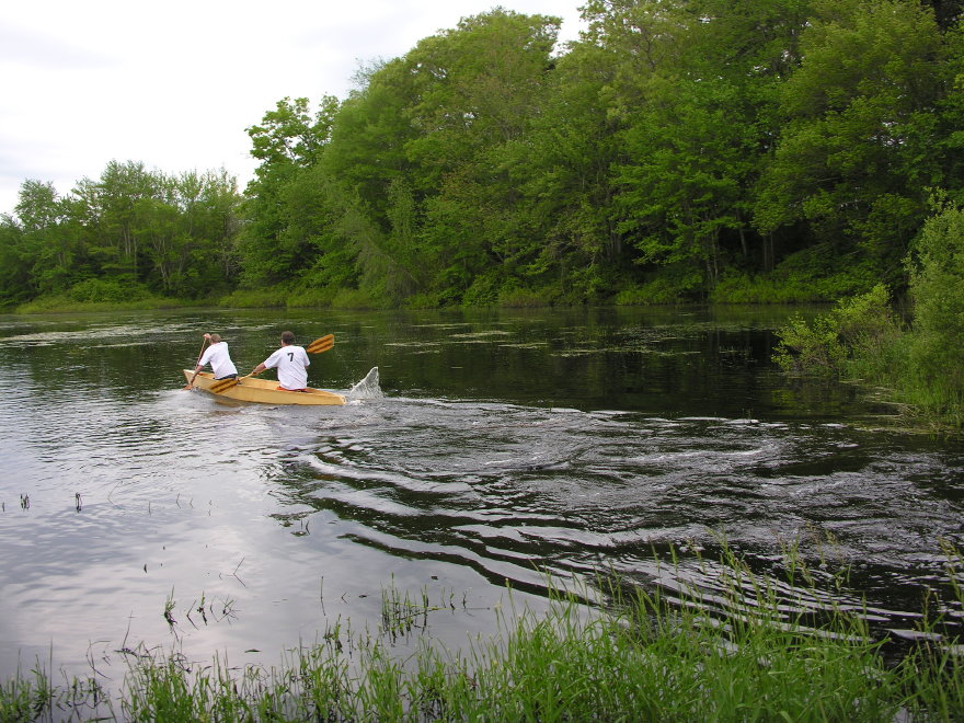 Description of the image