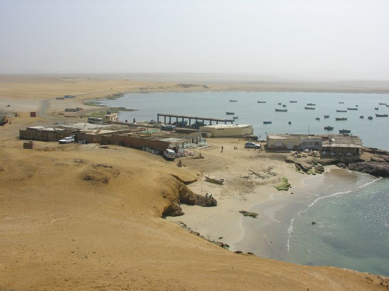 Description of the image