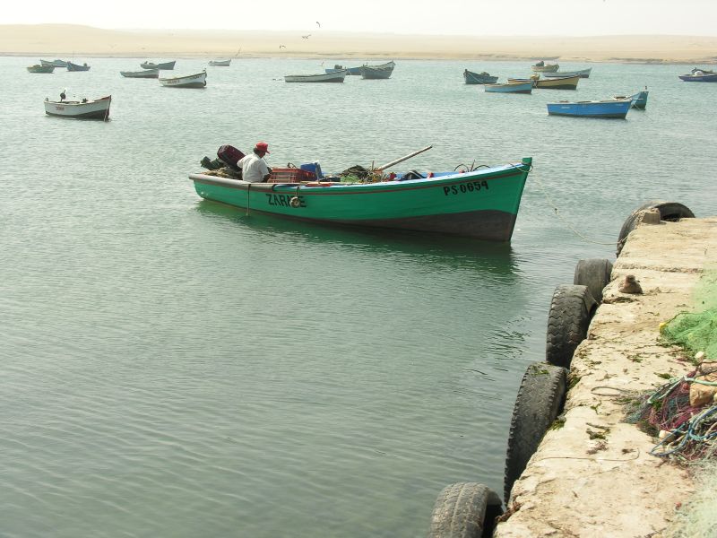 Description of the image