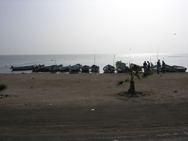Description of the image