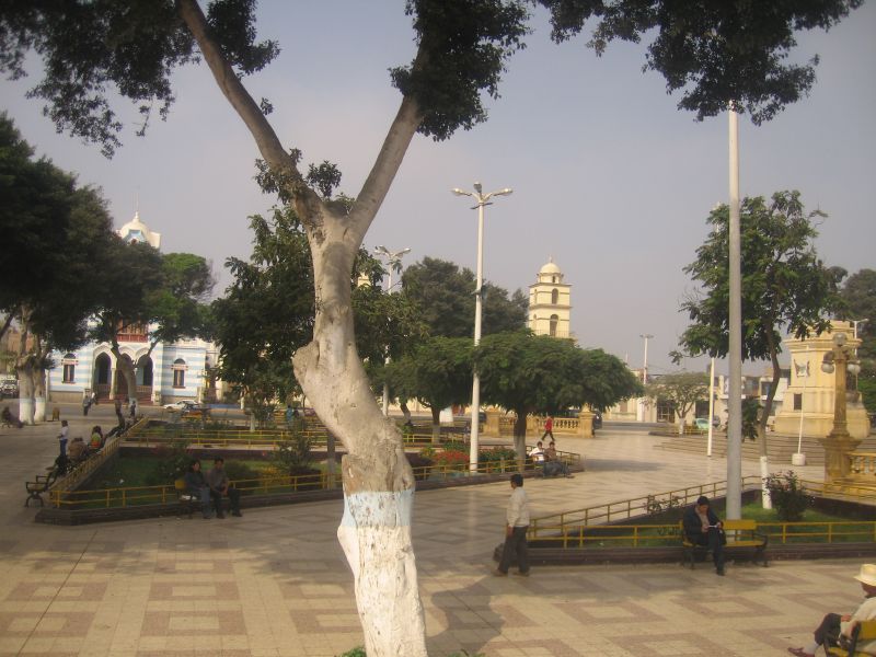 Description of the image