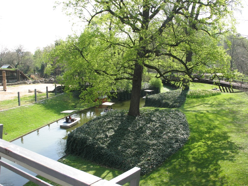 Description of the image