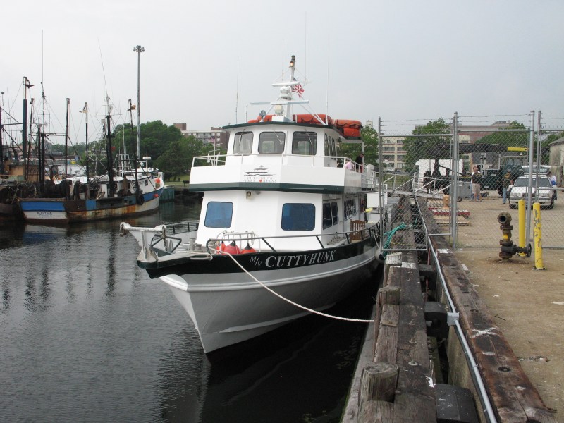 Description of the image