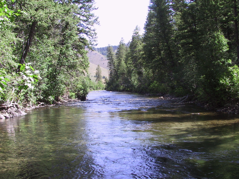 Description of the image