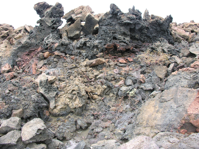 Description of the image
