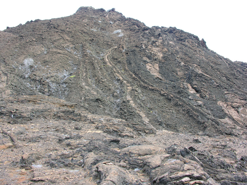 Description of the image