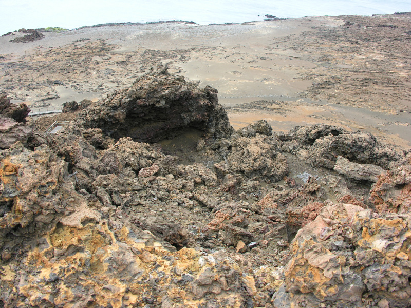 Description of the image