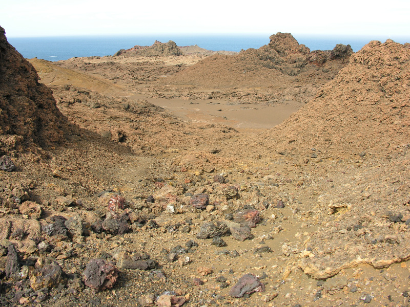 Description of the image
