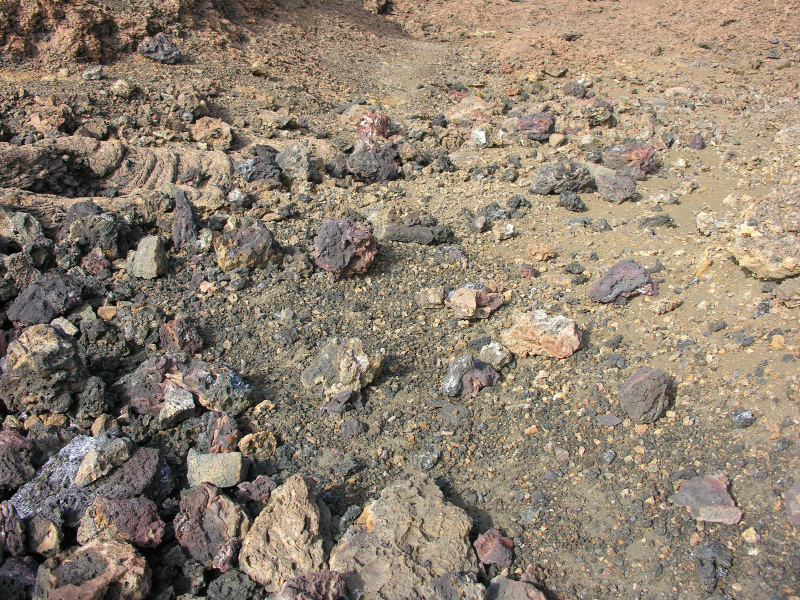 Description of the image