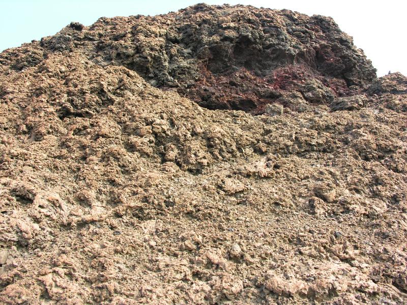 Description of the image