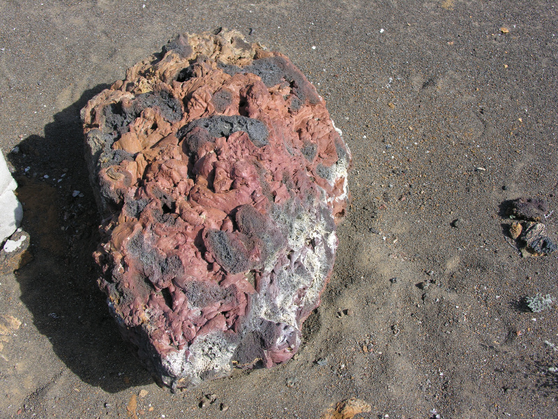 Description of the image