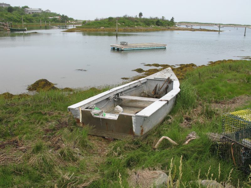 Description of the image