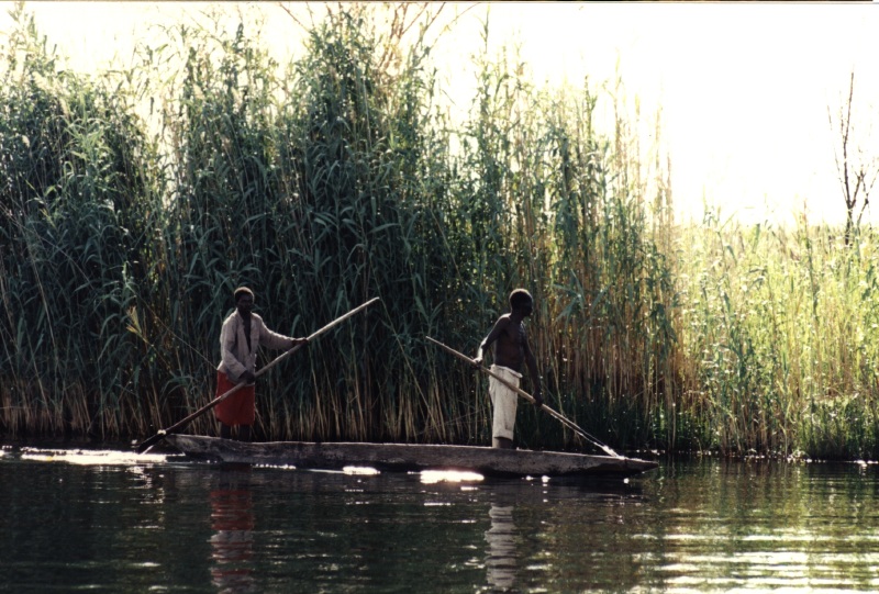 Description of the image